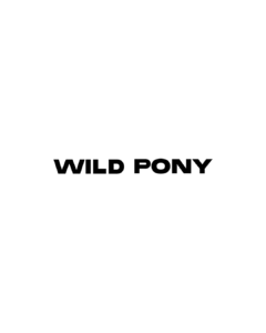Wild Pony